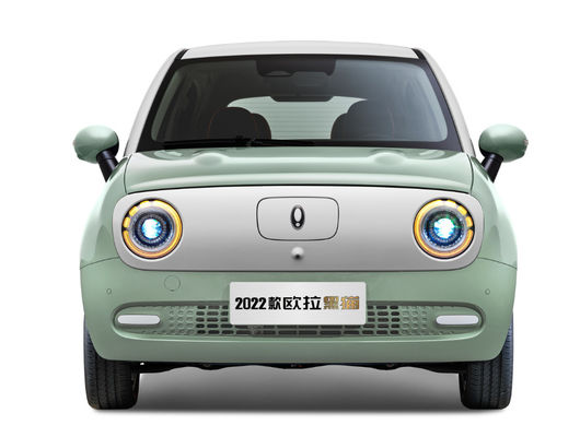 301-405KM گریت وال موتور EV Great Wall ORA Black Cat Ev Battery LFP