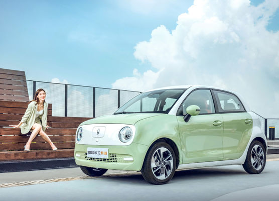 301-405KM گریت وال موتور EV Great Wall ORA Black Cat Ev Battery LFP