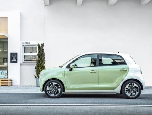 301-405KM گریت وال موتور EV Great Wall ORA Black Cat Ev Battery LFP