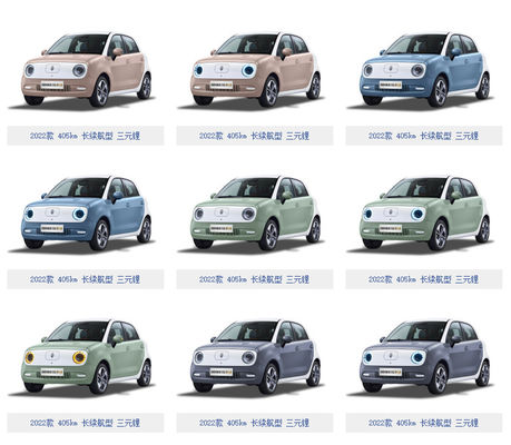 301KM-405KM Gw ORA Black Cat برقی Vehicle 5 در 4 صندلی باتری LFP